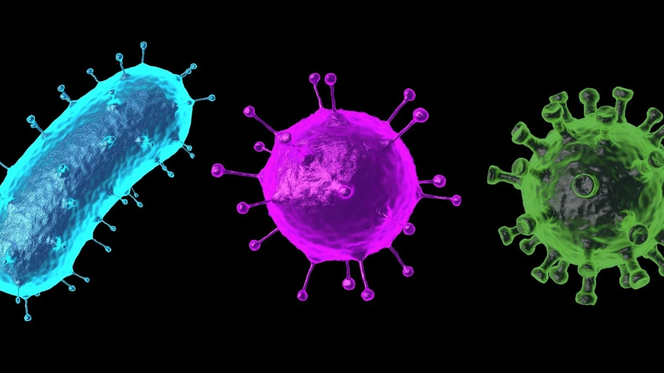 virus